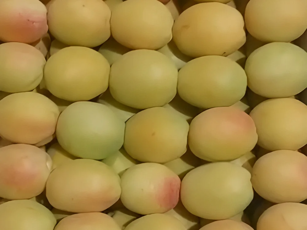 Fresh Armenian apricots neatly packed in wooden trays